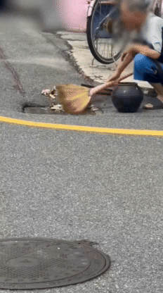 폭우가 내리고 다음 날인 지난 13일 전북 군산의 한 도로 하수구에 항아리째 담배꽁초를 버리는 노인의 모습이 온라인 커뮤니티에 공개된 뒤 비난이 쏟아지고 있다. /영상=보배드림 캡처