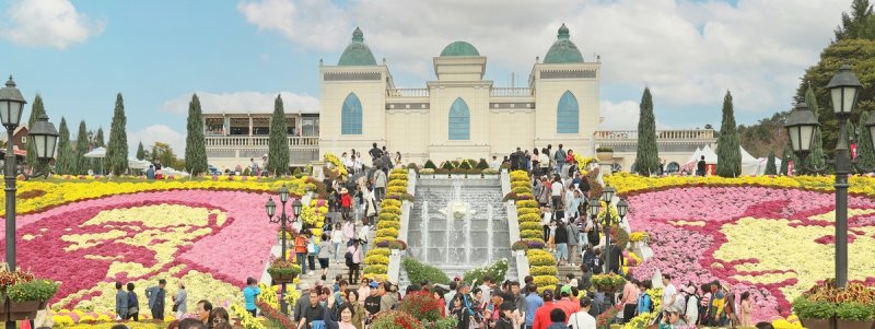 임실N치즈축제 (출처=연합뉴스)