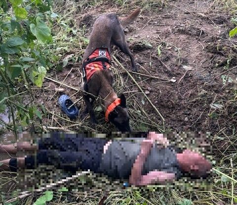 경기도북부소방재난본부 북부119특수대응단 소속 인명구조견 '대찬'이가 당시 실종된 노인을 발견한 현장 모습. 경기도북부소방재난본부 제공
