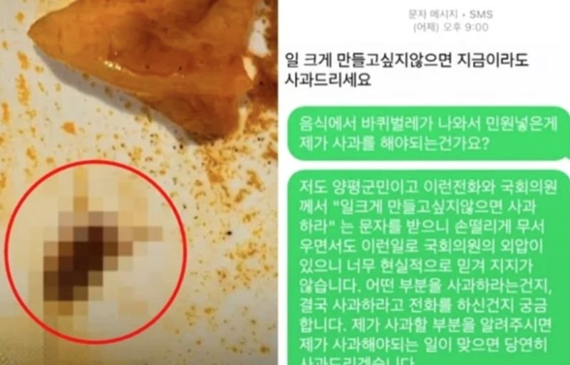짬뽕서 바퀴벌레 발견돼서 민원, 군의원 "단골집인데.."