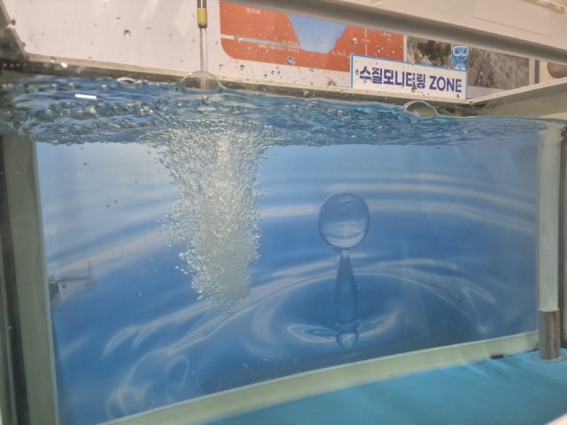 극심한 가뭄을 겪고 있는 강원 강릉시민에게 전해질 평창 도암댐 도수관로 비상방류를 하루 앞둔 19일 오후 강릉수력발전소 내 설치된 수질 모니터링존에서 방류수에 대한 수질검사가 이뤄지고 있다. 2025.9.19/뉴스1 ⓒ News1 윤왕근 기자