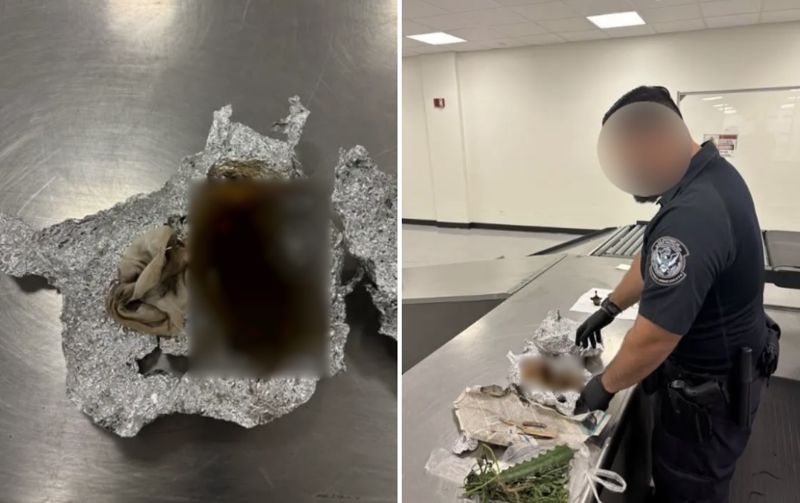 두개골·뼛조각 소지한 여행객, 이유가..황당