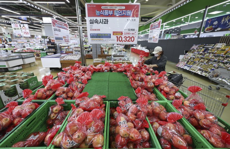 [서울=뉴시스] 김근수 기자 = 15일 서울 시내의 한 대형마트에서 소비자가 사과를 고르고 있다. 2025.09.15. ks@newsis.com