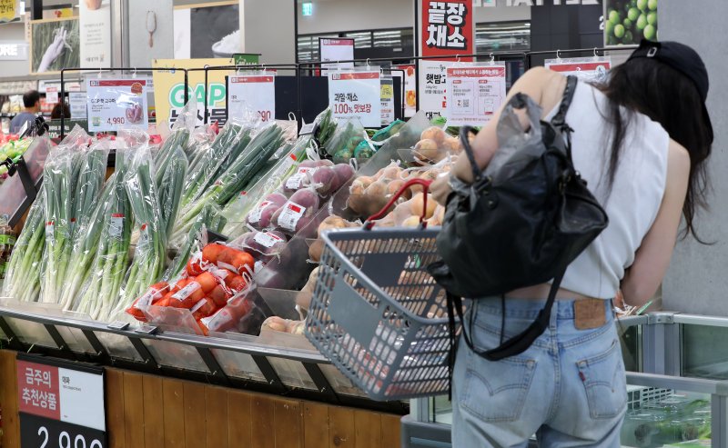 [서울=뉴시스] 김혜진 기자 = 송미령 농림축산식품부 장관이 다가오는 추석을 맞아 농축산물 수급 안정에 총력을 다하고 역대 최대 규모의 성수품을 공급할 것이라고 밝힌 8일 서울 시내 한 대형마트에서 시민이 장을 보고 있다. 2025.09.08. jini@newsis.com