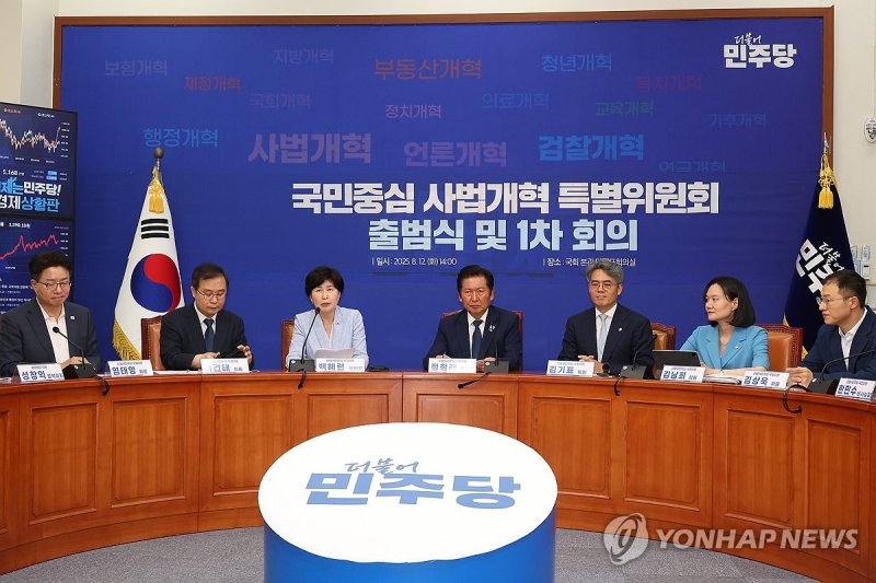 발언하는 백혜련 위원장 (출처=연합뉴스)