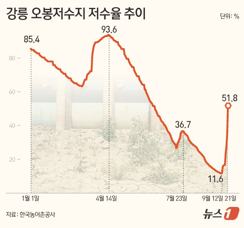 21일 한국농어촌공사에 따르면 이날 오전 9시 기준 오봉저수지 저수율은 51.8%로 전날(36.6%)보다 15.3% 높아졌다. 뉴스1