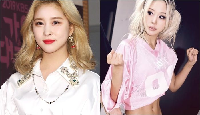 '12kg 감량' 우주소녀 다영, 다이어트 약 부작용으로 실신 