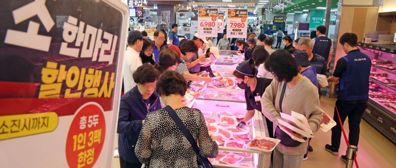22일 서울 양재동 하나로마트를 찾은 시민들이 한우를 고르고 있다. 하나로마트 양재점에서 추석을 앞둔고 22일과 24일 이틀간 ‘소 한 마리 행사’를 열고 한우를 최대 40% 할인 판매하고 있다. 사진=박범준 기자