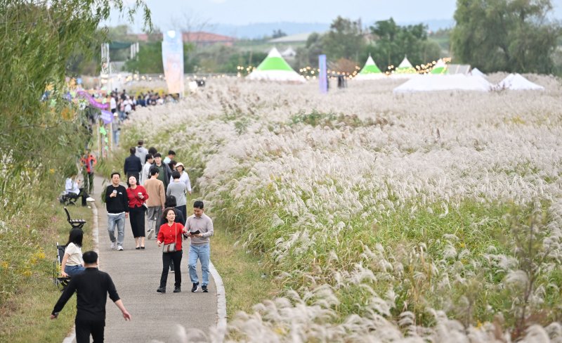 [광주=뉴시스] 이영주 기자 = 19일 오후 광주 서구 서창동에서 열린 제9회 광주서창억새축제를 찾은 시민들이 즐거운 한 때를 보내고 있다. 2024.10.19. leeyj2578@newsis.com