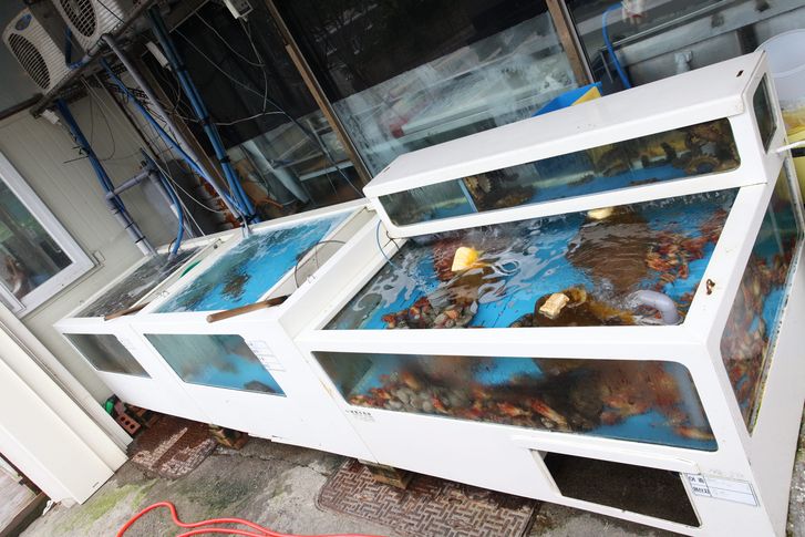 밤낮 없어요?…자정 온라인 예약했더니 ‘예약 불가’라던 횟집 사장