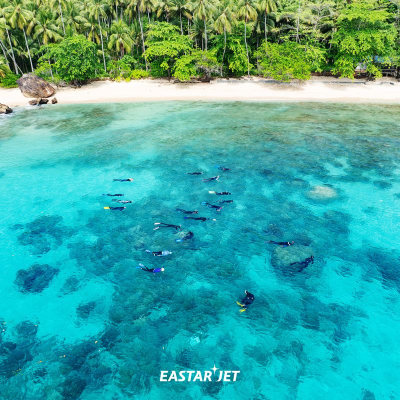 이스타항공 제공