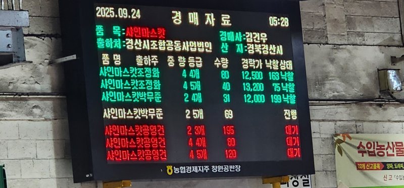 [창원=뉴시스]24일 경남 창원시 농협창원공판장.2025.09.24.sky@newsis.com