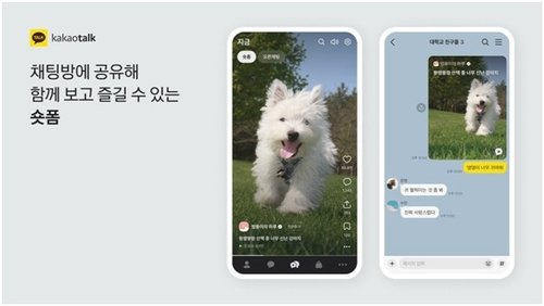 지금탭 (출처=연합뉴스)