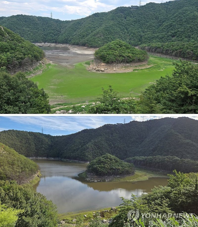 최악 가뭄 시기와 재난사태 해제된 오봉저수지 (출처=연합뉴스)