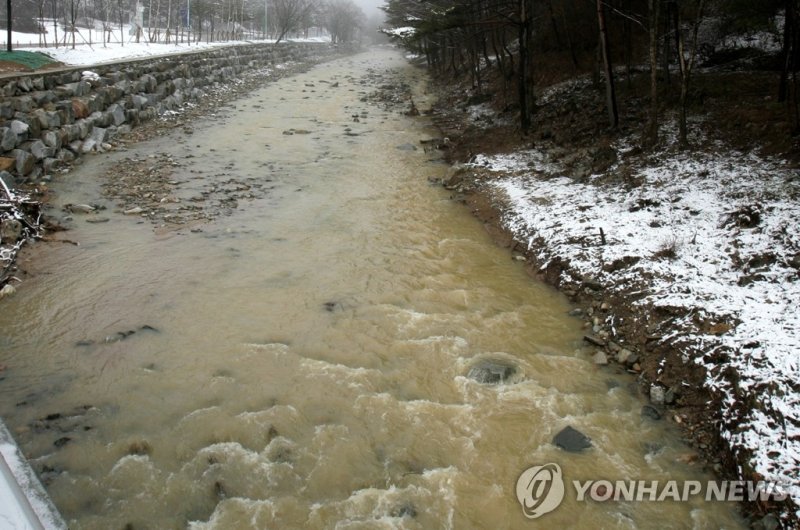 도암댐으로 흘러드는 흙탕물 (출처=연합뉴스)