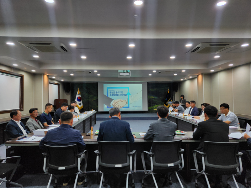 홍천군이 지난 24일 홍천메디칼허브연구소 대회의실에서 수출기업 애로사항 해소를 위한 간담회를 개최했다. 홍천군 제공