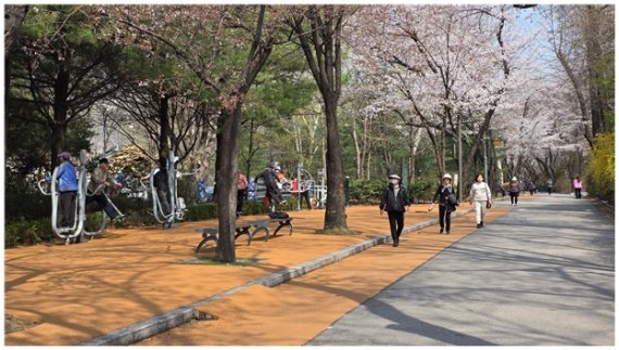 ▲ 서울 광진구 서울어린이대공원, 시민들이 코르크 위를 걷고 달리며 운동하고 있다.