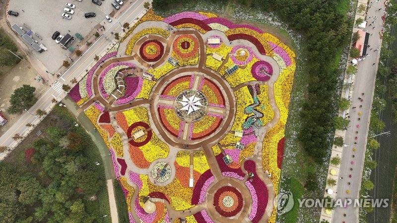 숲과 정원이 어우러진 인제 가을꽃축제 (출처=연합뉴스)