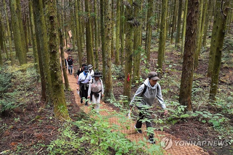 교래 삼다수 마을 지질 트레일 행사 (출처=연합뉴스)