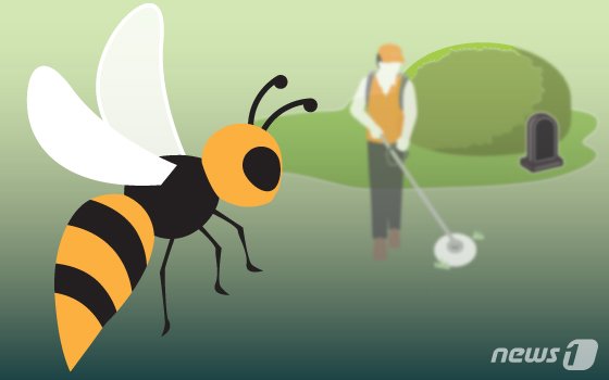 성표 앞두고 묘지 벌초하다가... 벌 습격받은 결과 '중상'