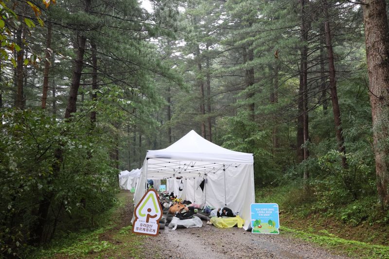 28일 올해로 10회를 맞은 유한킴벌리 '2025 우리강산 푸르게 푸르게 '숲속 꿀잠대회''가 유네스코 생물권 보전지역으로 지정된 남양주시 광릉숲에서 열렸다. 수면 중 심박수를 측정해 가장 편안하게 숙면을 취한 참가자와 이색 복장과 소품을 준비한 베스트 잠옷러에게 몽골 왕복 항공권 등 상품이 주어졌다. 이번 대회는 현대인들이 도심의 숲 속에서 잠을 청하고 힐링 할 수 있는 이색대회이자 숲환경 프로그램으로 가치를 인정 받아 왔다. 사진=유한킴벌리 제공