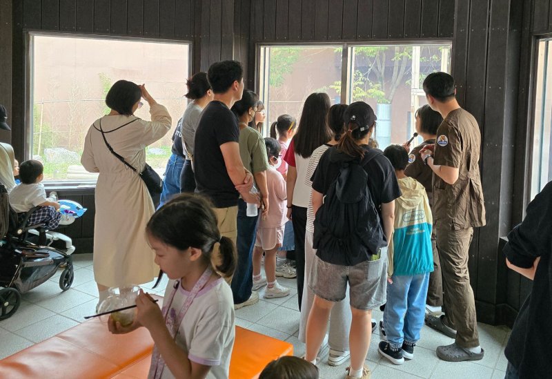 광주 카지노사이트 바카라사이트카지노사이트 바카라사이트 '동물과 함께하는 특별한 치유 프로그램'.(광주시 제공. 재판매 및 DB 금지) ⓒ News1 박준배 기자