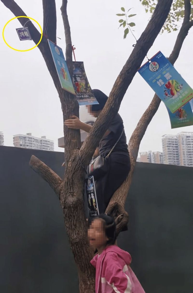 '나뭇가지석' 이어 벽돌 위 올라가 보는 '벽돌석'..中축구협, 무슨 일?