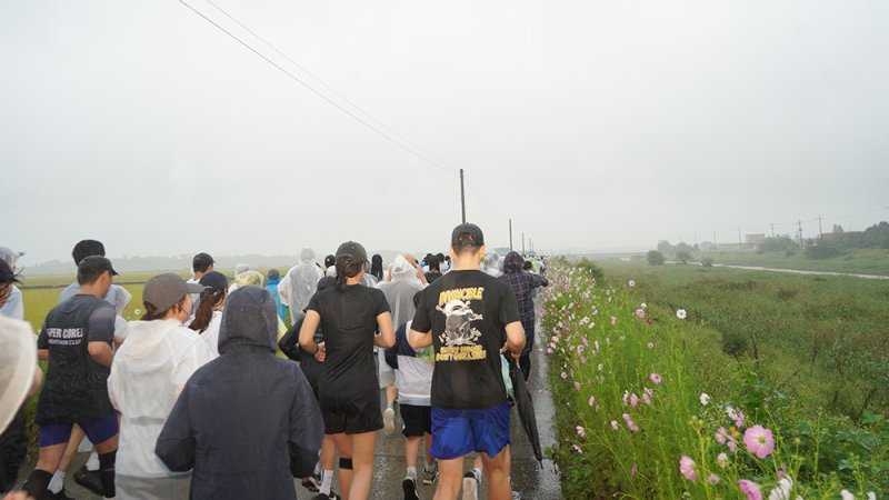 전국에서 달려온 마라토너들이 코스모스와 황금들녘, 백일홍까지 어우러진 서산의 천수만 가을길을 즐기며 달리고 있다.(서산시 제공. 재판매 및 DB금지)2025.9.29/뉴스1