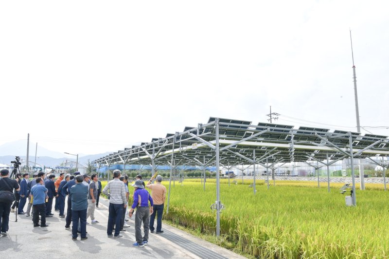 영농형 태양광발전 (출처=연합뉴스)