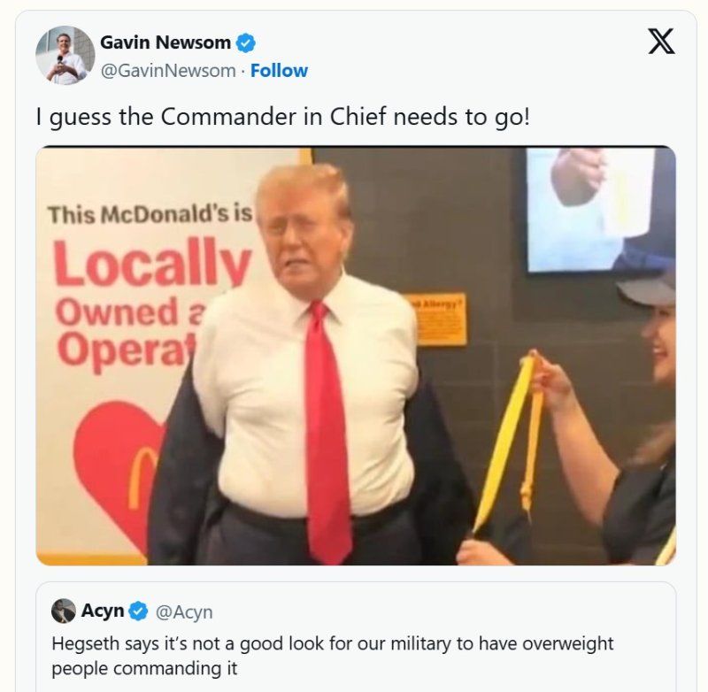 "미군서 뚱보 퇴출" 국방장관 외침에 뉴섬 주지사 반응 '화제'