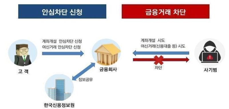 비대면 계좌개설 및 여신거래 안심차단 서비스/사진제공=금융감독원