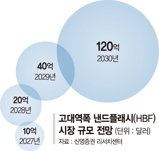 [단독] "넥스트 HBM 선점하라" 삼성, HBF 개발 참전