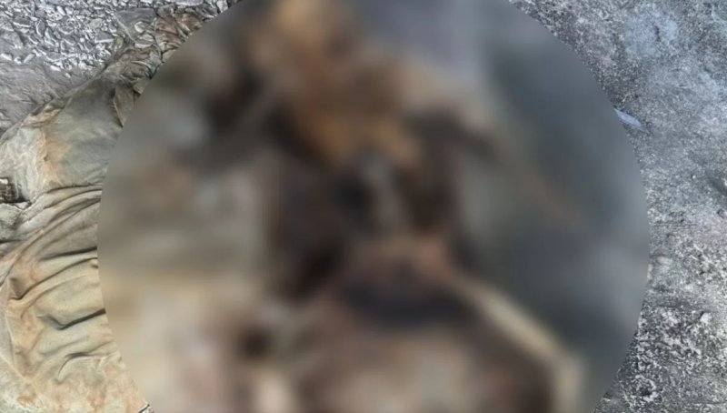 길거리서 잃어버렸다 되찾은 휴대폰서 발견된 사진 6장에 '발칵'