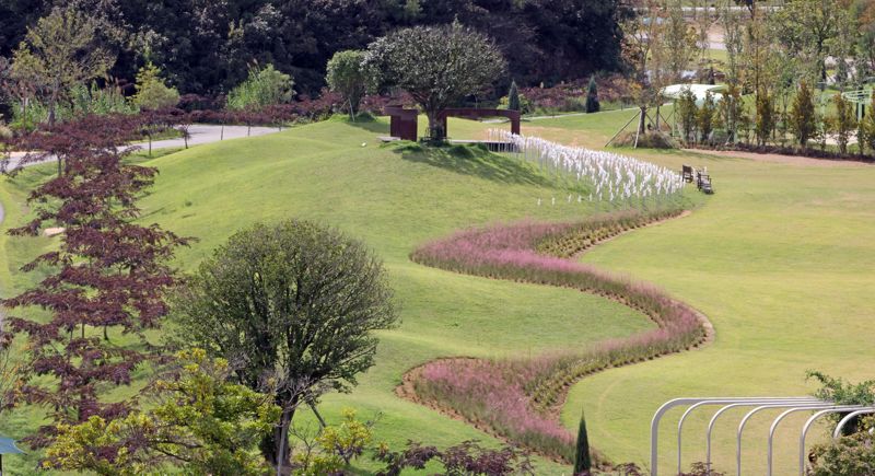 S자 형태로 심어진 핑크뮬리 너머로 산이정원의 상징인 동백나무가 보인다. 사진=박범준 기자