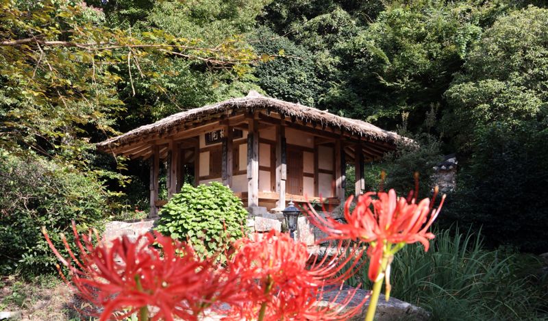 '다성(茶聖)' 초의선사가 기거했던 대흥사 일지암