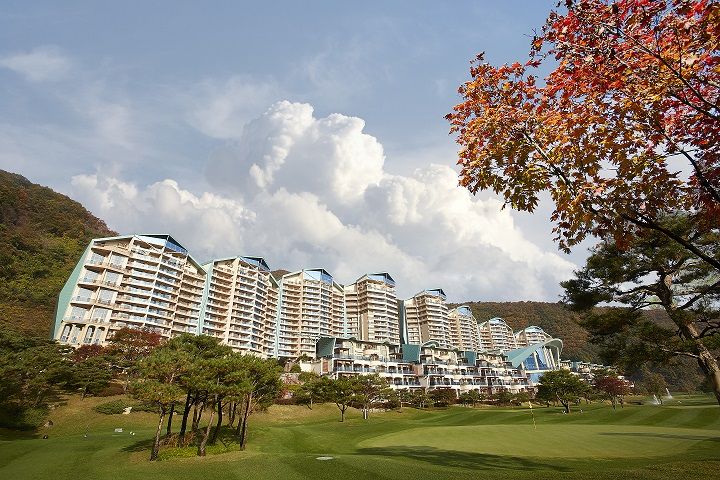 비발디파크 소노펠리체 가을 풍경