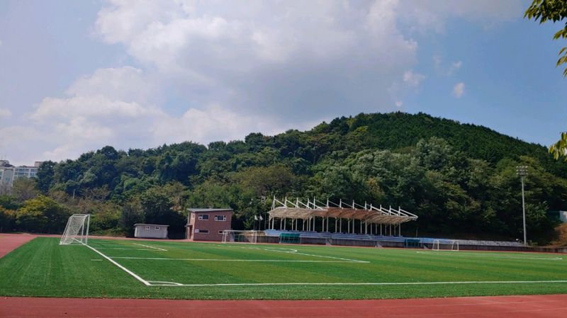 전남 순천시가 추석 연휴 기간 중 5일부터 8일까지 4일간 팔마경기장<사진> 등 실외 공공체육시설을 무료로 개방한다. 순천시 제공