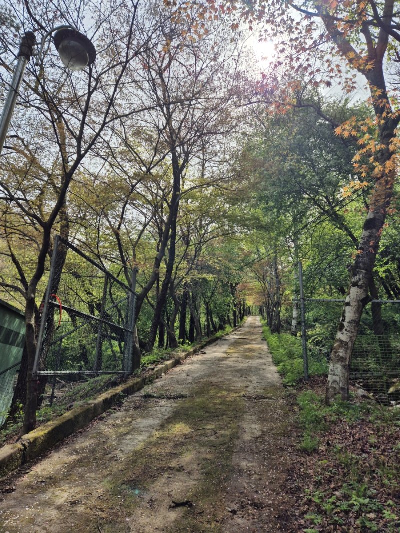 동두천 소요산 관광지 내 '소요 숲 힐링공간 사업' 예정지. (동두천시 제공, 재판매 및 DB금지)