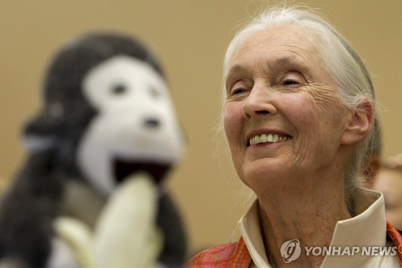 '침팬지의 어머니' 동물학자&middot;환경운동가 제인 구달 별세…향년 91세