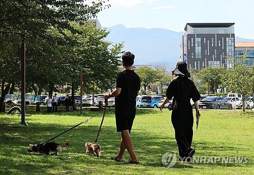 반려동물과 산책하는 시민 (출처=연합뉴스)