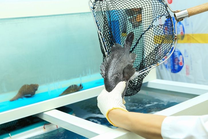 "밤늦게 예약해 면박" 맹비난 받은 횟집, 반전은…