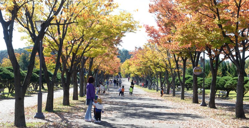 [에볼루션 바카라 사이트=에볼루션 바카라 사이트] 배병수 기자 = 기온이 떨어지며 쌀쌀한 날씨를 보인 6일 오전 에볼루션 바카라 사이트 남구 문수체육공원을 찾은 시민들이 낙엽을 밟으며 가을 정취를 만끽하고 있다. 2024.11.06.bbs@newsis.com.