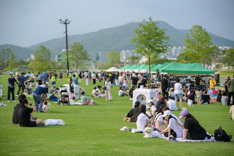 전남 순천시가 가을을 맞아 반려동물과 함께 즐길 수 있는 체험, 트레킹, 영화제, 러닝까지 '4色 프로그램'을 준비해 반려가족 관광객을 사로잡는다. 사진은 지난해 댕댕나이트런 참가자들이 오천그린광장에 모여 쉬고 있는 모습. 순천시 제공