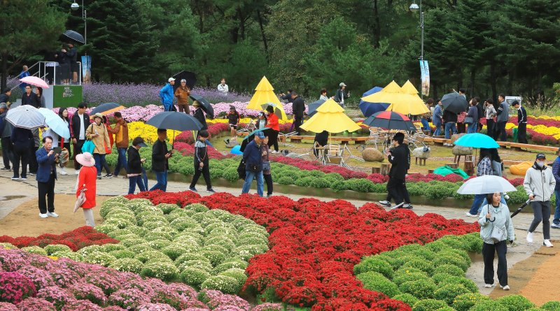 7일 오후 강원 인제군 북면 용대리 일원메이저 바카라 사이트 열린 '2025 인제 가을꽃 축제'에서 관광객들이 우산을 쓰고 꽃길을 거닐며 추억을 쌓고 있다.(인제군 제공. 재판매 및 DB금지) 2025.10.7/메이저 바카라 사이트1 ⓒ News1 이종재 기자