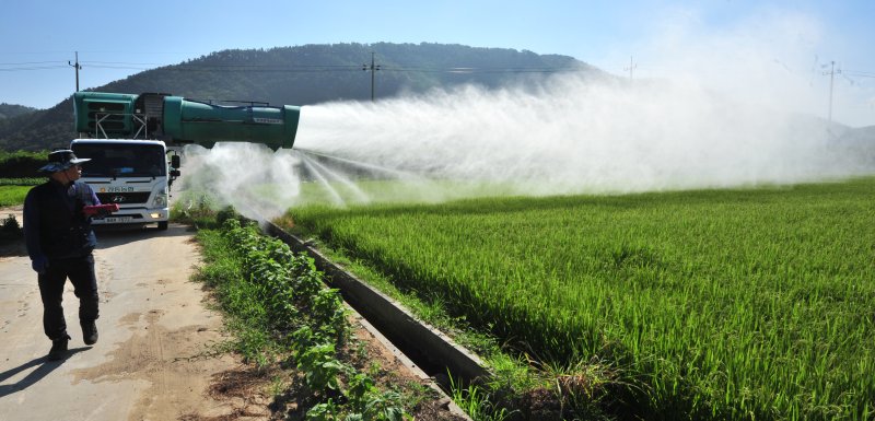 강동농협 관계자들이 25일 경북 경주시 양동면 논에서 광역살포기를 동원해 농약을 살포하고 있다. 강동농협은 지난해부터 부족한 광역살포기를 동원해 부족한 농촌일손을 돕고 있다.2016.8.25/뉴스1 ⓒ News1 최창호 기자