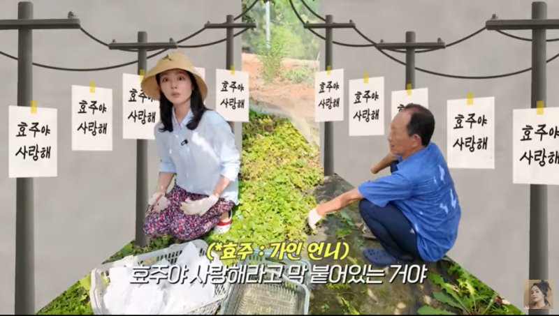 한가인, 형부의 미모 친언니 향한 프러포즈 공개…"전봇대마다 '효주야 사랑해'"