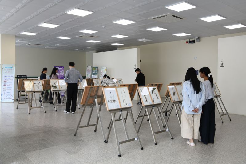 전남산림연구원은 지난 2020년부터 5년간 산림자원 탐사를 통해 수집한 희귀·특산식물 표본 60점을 '남도 풀꽃 수집일기'라는 주제로 오는 31일까지 광주시립수목원에서 전시한다고 밝혔다.