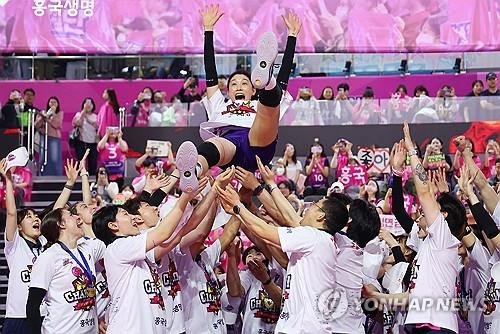 김연경 헹가레치는 흥국생명 선수들.연합뉴스