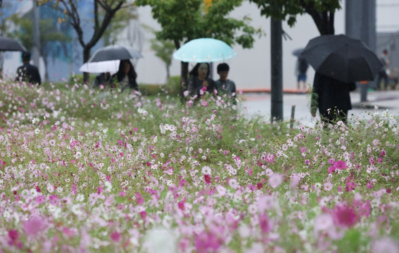 바카라사이트 안내 수원시 영통구 바카라사이트 안내도청 인근에서 시민들이 우산을 쓰고 지나가고 있다. /바카라사이트 안내1