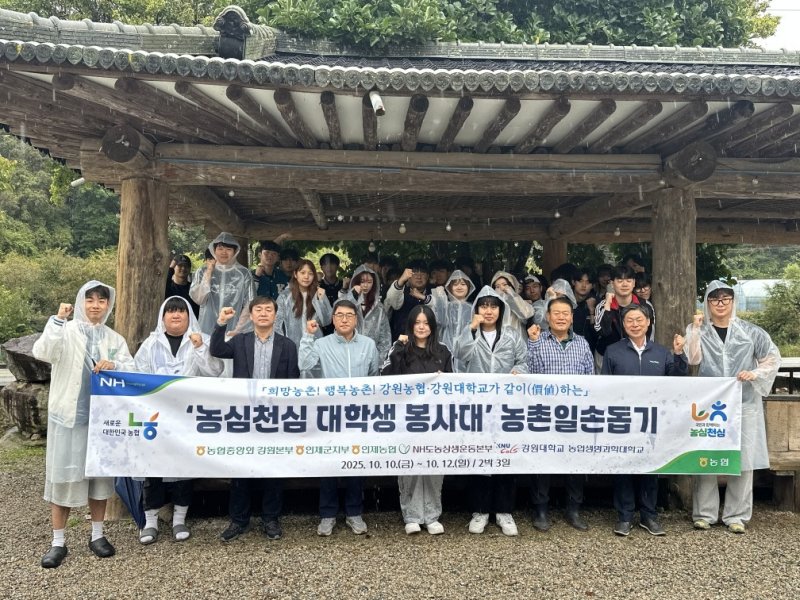 농심 천심 수확철 맞이 바카라사이트 신고.(농협 강원본부 제공. 재판매 및 DB금지)/바카라사이트 신고1